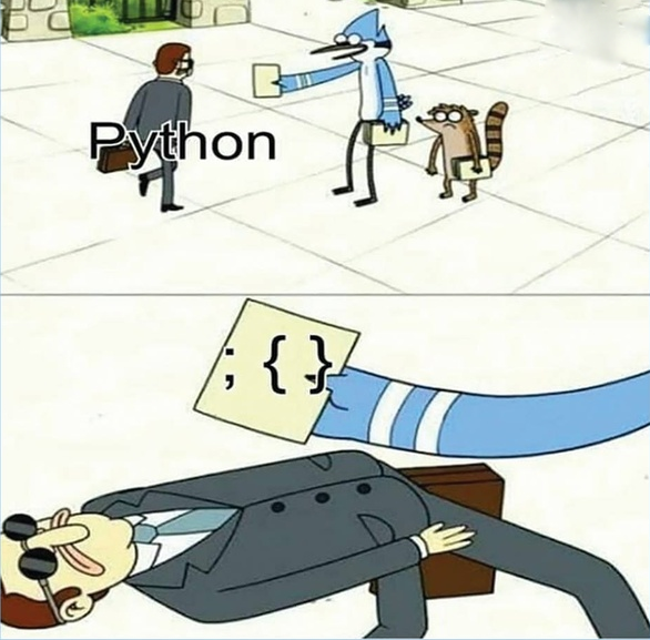 meme_coder's tweet image. #programmer #programming #100DaysOfCode #webdeveloper #Python