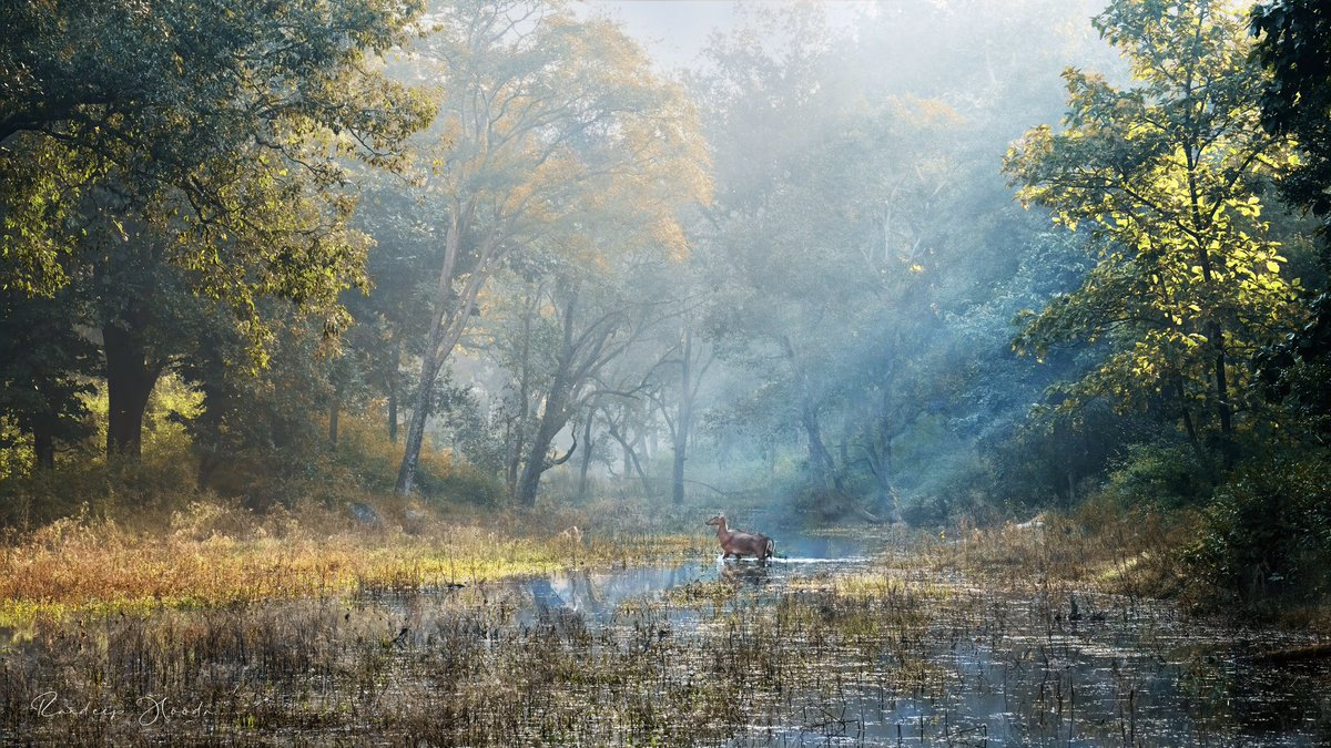 RandeepHooda's tweet photo. Our planet is one large organism where every species plays a part in keeping it healthy. If we continue to destroy these hubs for unsustainable development of infrastructure and mining,we are actually destroying our home and our selves.We must learn from #COVID19 #BiodiversityDay https://t.co/JGPgs4Oz30