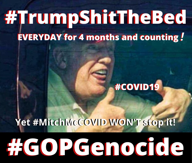 guelph_homes's tweet photo. @washingtonpost '
#MitchMcCOVID, #2IC, #GOPGenocide🏴
aka #MoscowMitch🇷🇺, #MachineGunMitch💀, #GrannyTurtle & #TrumpsBitch🕦
#DepravedIndifference #HomicidalHypocrite #MendaciousMonster #EconomicRUIN #TheTrumpDepression🕳️
@senatemajldr, #GOPerpwalker, #January20th2021🧻🚽🪠
#TrustFauci🗣️
. https://t.co/bhbyiMDE5j