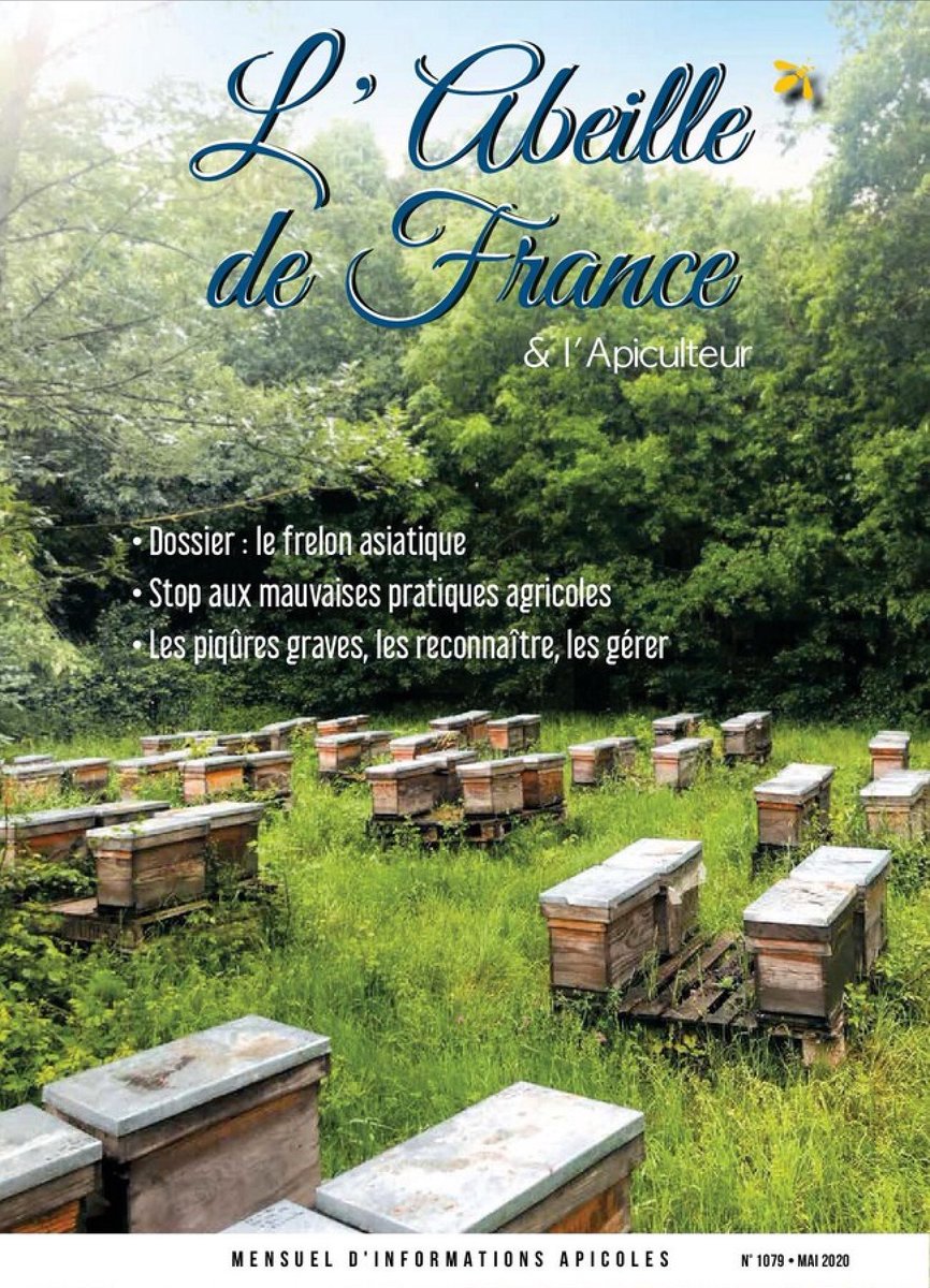 #VendrediLecture , <a href="/AbeilleDeFrance/">L'Abeille de France</a> bien sûr ! Ce mois-ci, on parle du #frelon asiatique #Vespavelutina, des piqûres avec <a href="/SCApiculture/">Société Centrale d'Apiculture</a>, on vs emmène en #Corse, le tout sans oublier nos rubriques habituelles+qqes nouvelles. À retrouver ds ttes les bonnes boîtes aux lettres!😉🐝