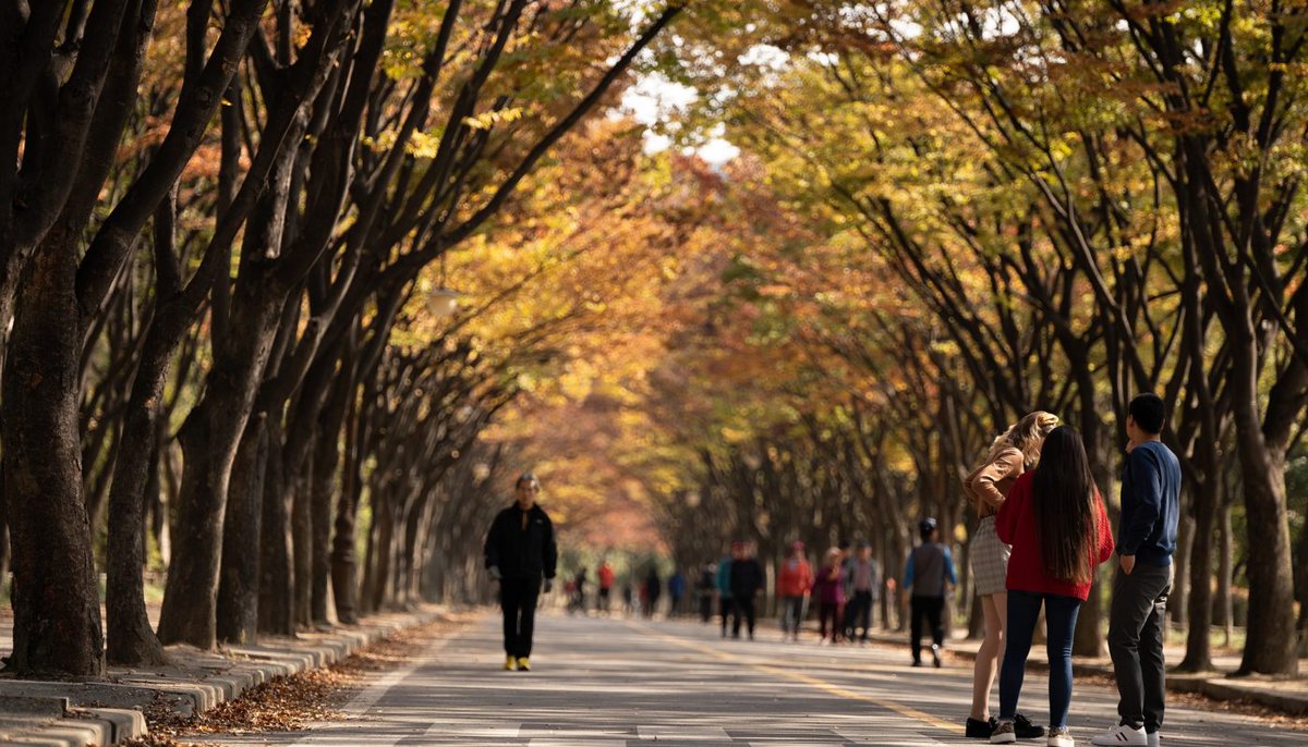 AMJAandalucia's tweet image. TRAER LA NATURALEZA DE VUELTA A NUESTRAS VIDAS
La Unión Europea hace hincapié en la necesidad de potenciar y financiar los proyectos verdes para la próxima década en el marco de la Unión.
amja.es/traer-la-natur…
#Amja #Jardineria #AndaluciaEnFlor #AhoraFloresyPlantas