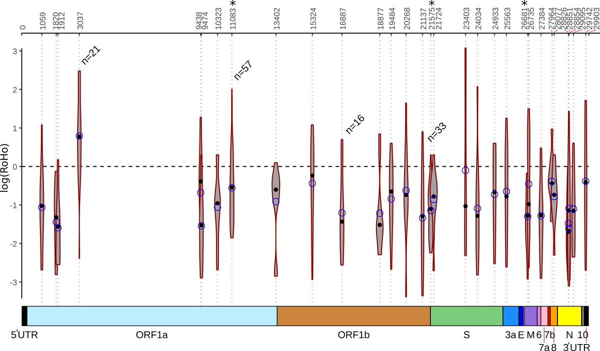 No single mutation having emerged recurrently to this day is significantly associated with increased transmission of  #SARSCoV2. Instead, all those mutations are neutral or deleterious to the virus' transmission, some significantly so.(3/5) https://tinyurl.com/ycrgb7ad 