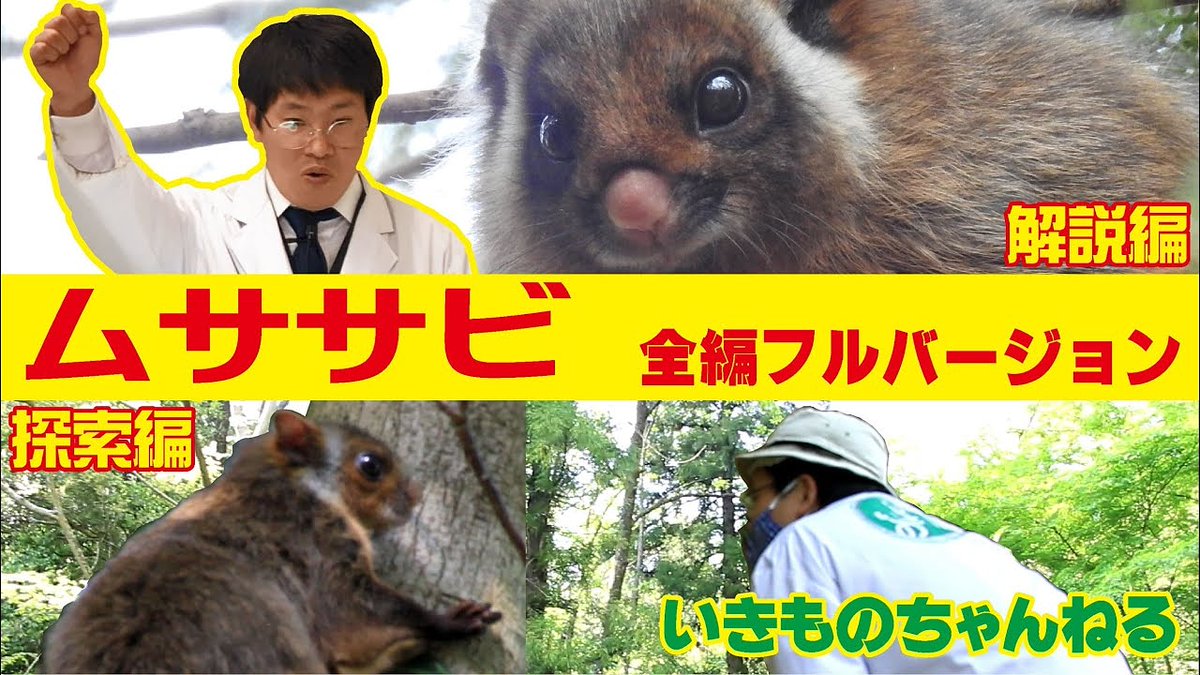 人気動物 人気動物