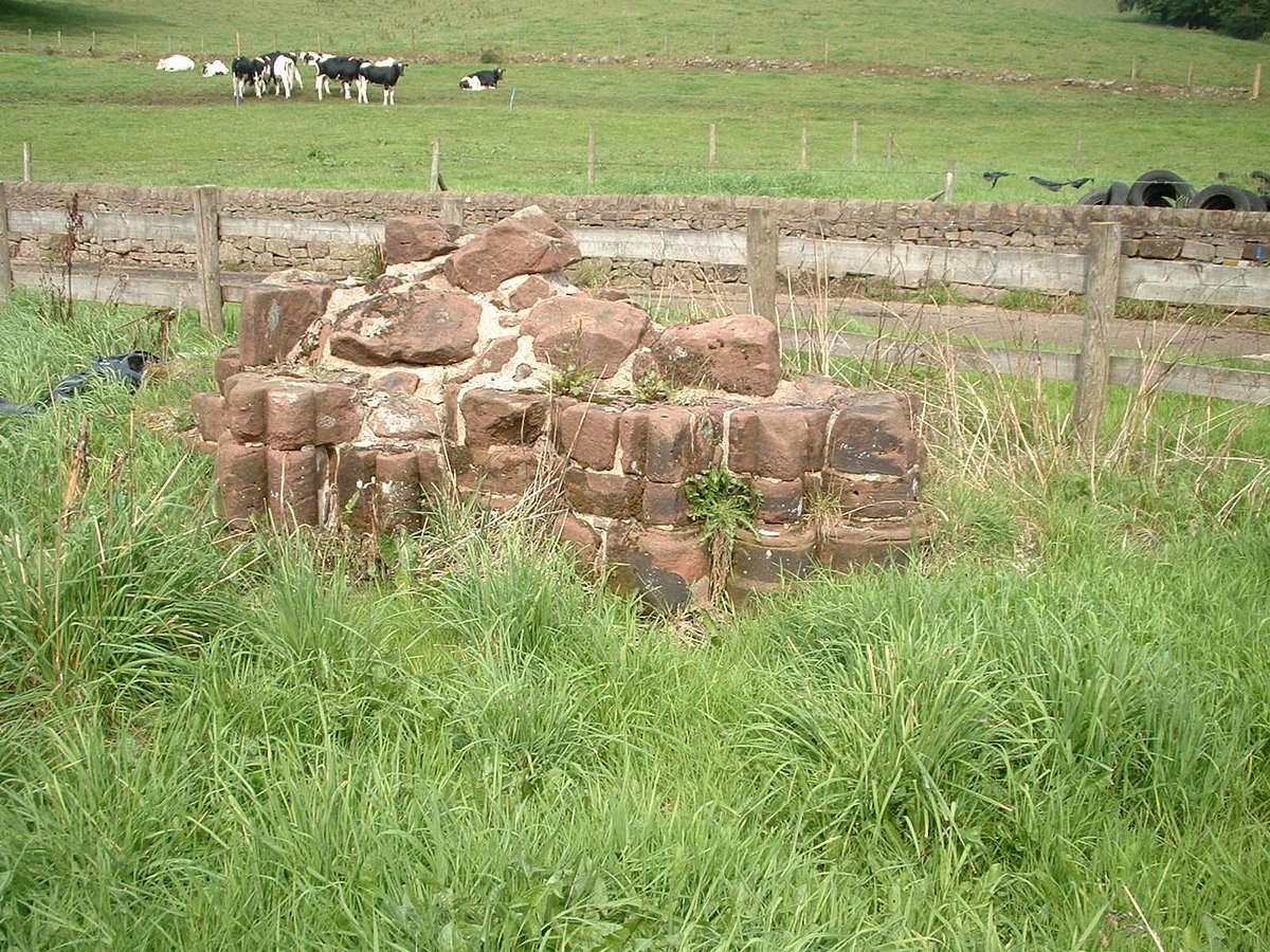 Dieulacres was also Cistercian, moved from Poulton, Cheshire 1214, and although more than twice as wealthy as Croxden (diss. 20 Oct 1539), it doesn't look as interesting plan-wise. Regardless all that's left is the lower parts of the two crossing piers, nice busy 13thc mouldings.