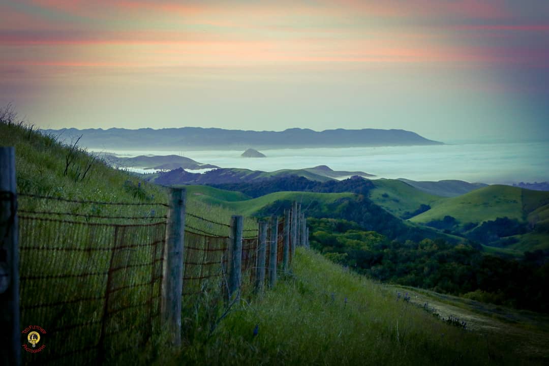 tedfletcher's tweet photo. #sunrise & fog overlooking @morrobaytravel & @CayucosCA @VisitCA in Spring time . . .
#teamcanon #canon📷 #nature #landscape #travel #slocounty #sanluisobispo #slocal #morrorock #cayucos #highway46 #highway1 #green #hills #clouds #coastal #mountains #esterobluffs https://t.co/rKmkcJovrN