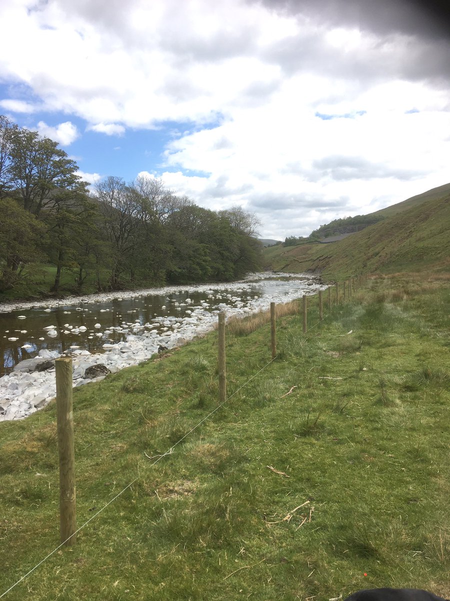 Fencing off the riverbank will enable us to be biosecure. At the moment we get a lot of visitors from off the fell, and one sheep brought us sheep scab last year. It cost a lot to treat all our flock for it. Also, our sheep won’t be able to wander.