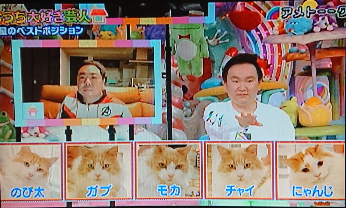 Cheegle アメトーークのおうち大好き芸人 かまいたち山内が猫いっぱい飼ってるの意外 あと猫みんな毛色が似てる 兄妹まるっと飼ってるのかな T Co Pe7l7ygr32 Twitter