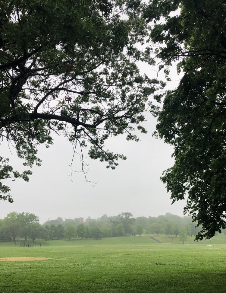 kciampag's tweet photo. misty / short run this am in #PattyP (going to make this hashtag a thing) https://t.co/6f4bbxcWBx