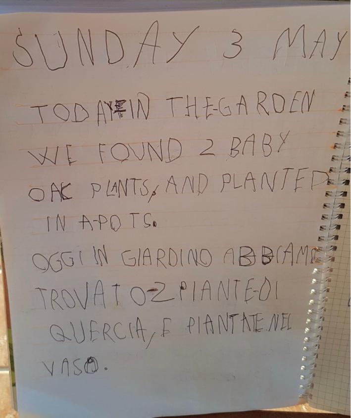 IsModena's tweet image. A selection of weekend memories from Grade 1..mothers&apos; day, seeing grandparents after a long time, exploring the outdoors and looking for inspiration! How caring our students are! #inspirededucationgroup #openforlearning