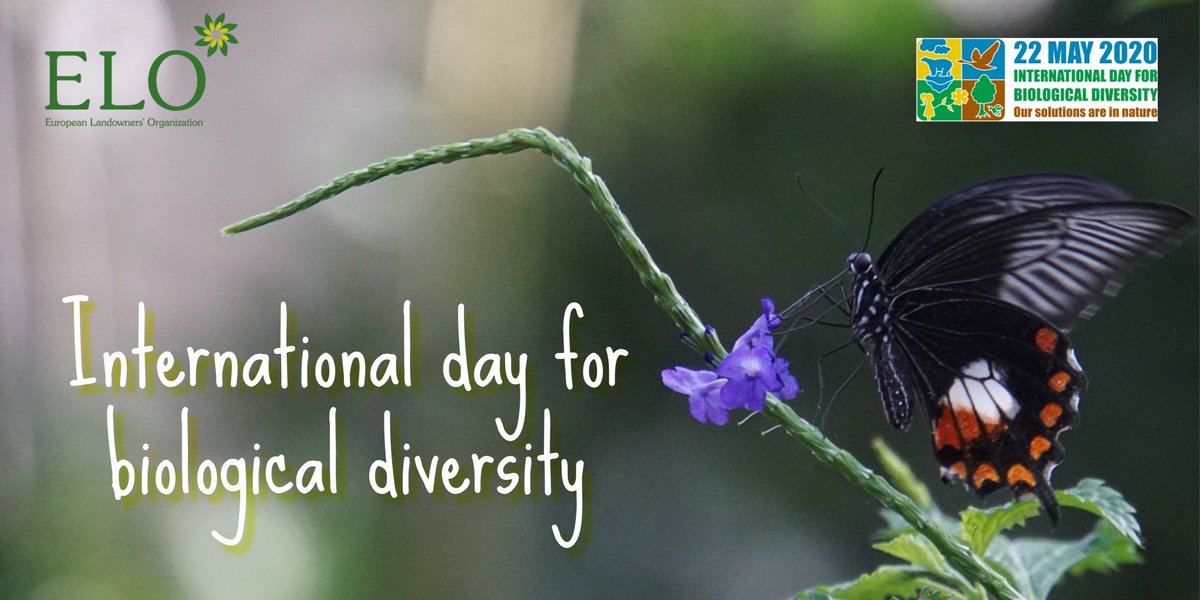 As 95% of Europe’s land is in private hands, landowners should be considered prime partners in ensuring the success of any #biodiversity targets, particularly in #agriculture and #forest land. Private conservation must be promoted. #EUBiodiversity #BiodiversityDay