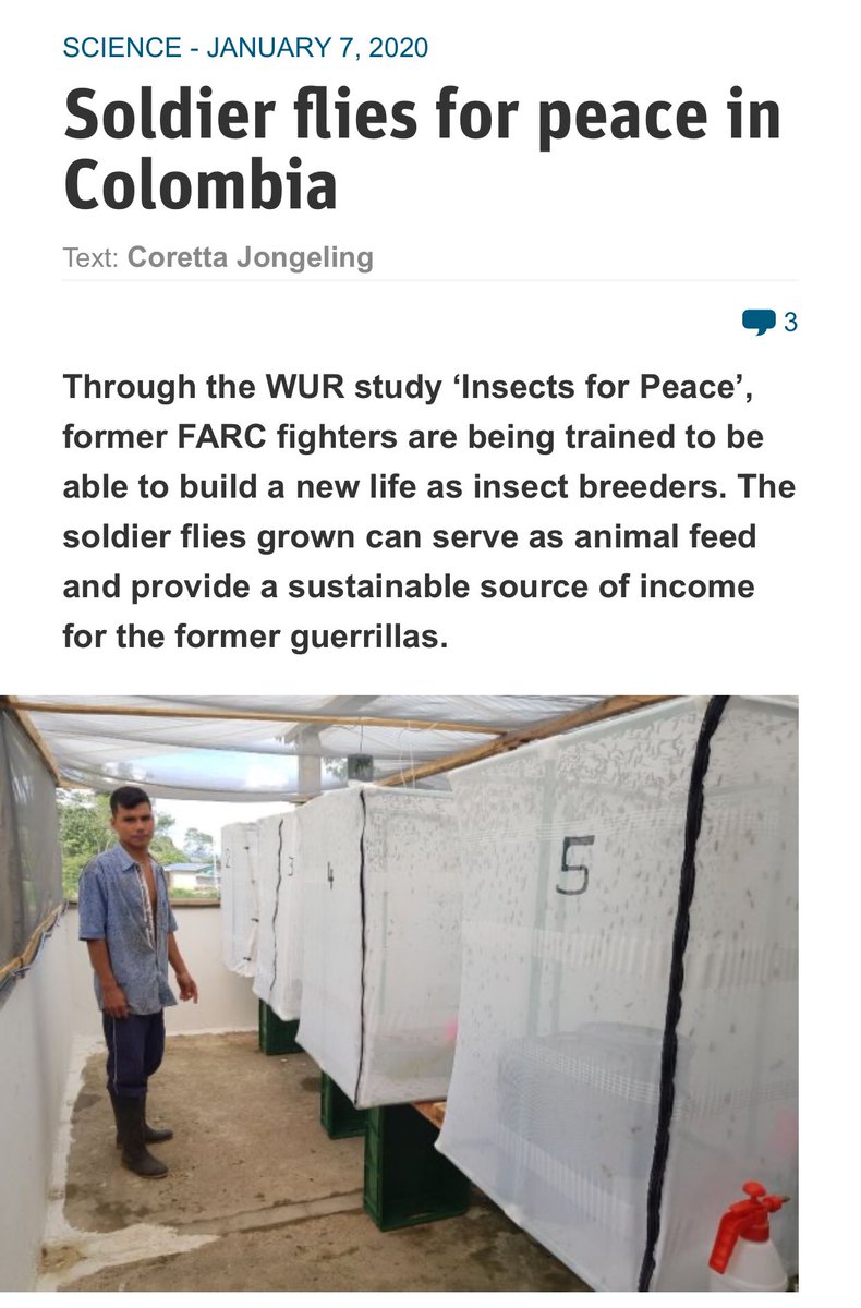 We are so exited to start the second phase of this beautiful project! #circulareconomy #bsf @PartidoFARC <a href="/WUR/">Wageningen U&R</a> <a href="/UNALOficial/">Universidad Nacional de Colombia</a>