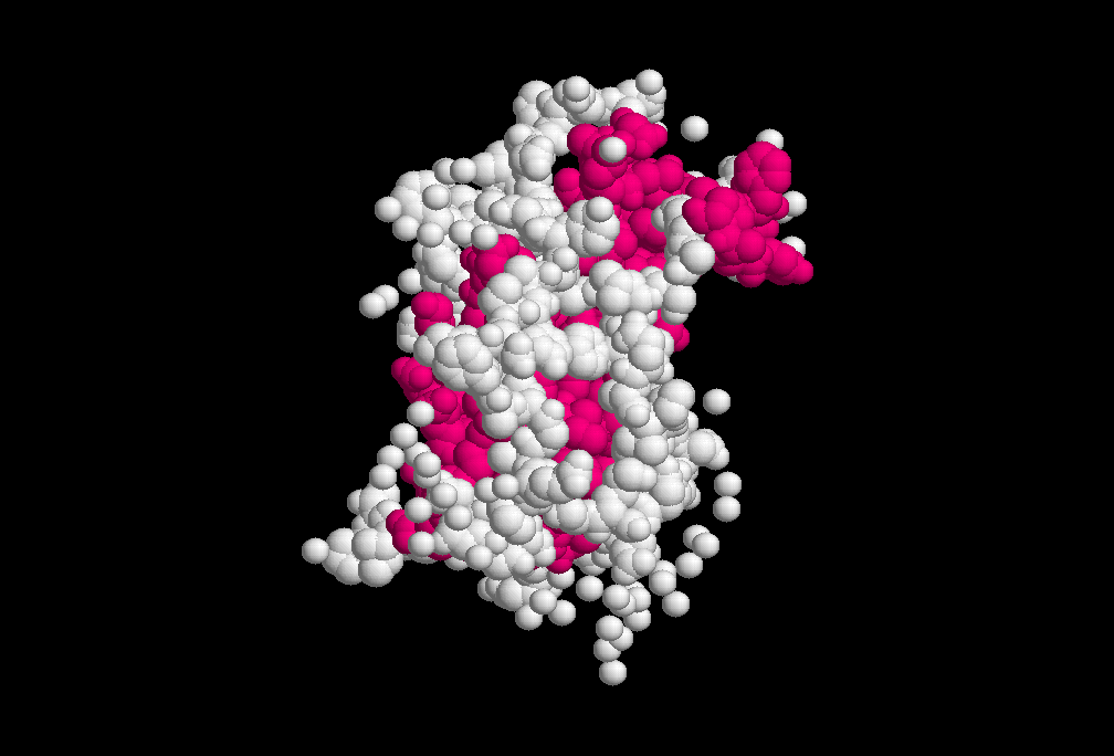 3) La durée des cures pour l'hormone de croissance : effet rapide = 6 injections une cure dure minimum 15 jours.Le plus souvent le joueur le fait pendant sa pré saison pour que le produit disparaisse très rapidement De plus cette hormone reste de presque 1 an active.