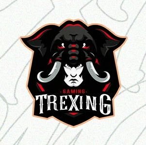 🇪🇸Torneos Fortnite🇪🇸 tweet media