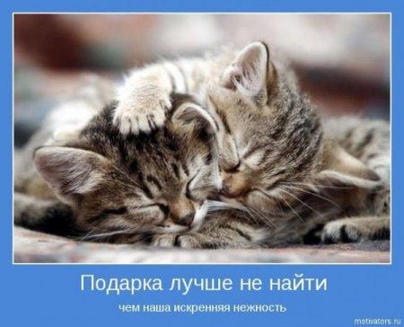 #мудрость