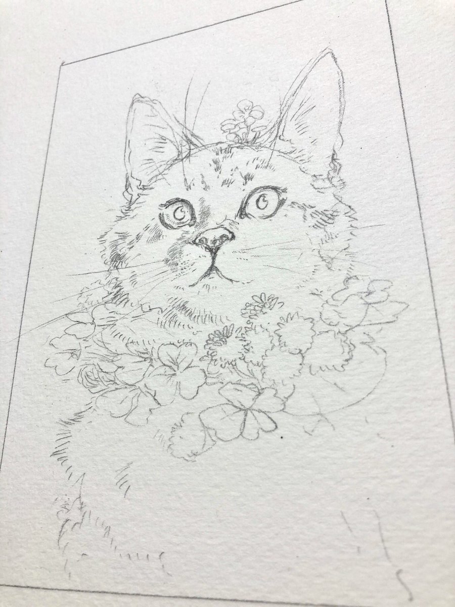 今日の22時くらいからインスタライブで長靴をはいた猫君 @erumo_0384 と喋りながら2分割画面で猫ちゃん描いていきます!
彼のアカウントでするつもりですので、インスタグラムアカウント @erumo0384 から見にきてね。 