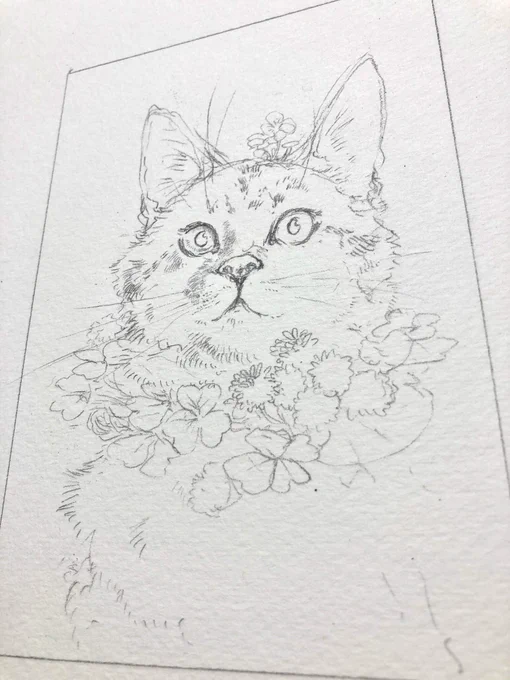 今日の22時くらいからインスタライブで長靴をはいた猫君 @erumo_0384 と喋りながら2分割画面で猫ちゃん描いていきます!
彼のアカウントでするつもりですので、インスタグラムアカウント @erumo0384 から見にきてね。 