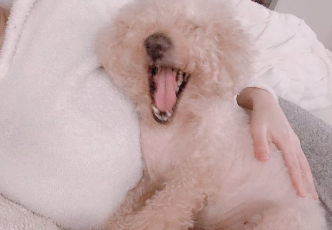 おネム https://t.co/lg5LNFRrsQ