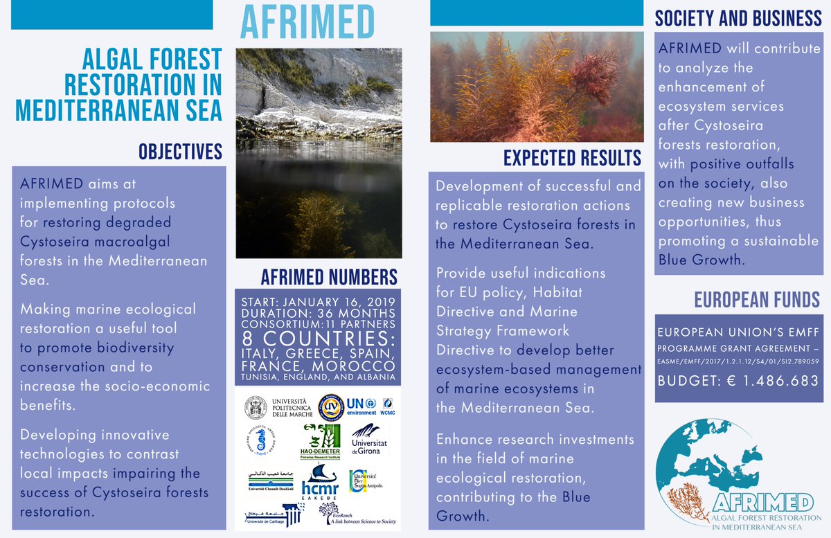 AFRIMED_eu tweet media