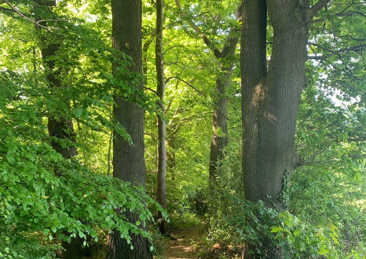 outback2basics tweet media