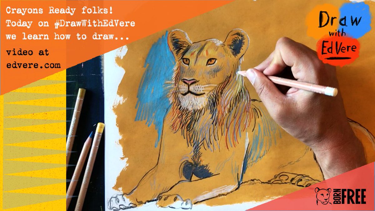 ✏️ A very special <a href="/BornFreeFDN/">Born Free Foundation</a> edition #DrawWithEdVere today.
We learn to draw a REAL lion. 
A challenge, but you can do it 😊
📺 video at edvere.com 
#unitedbybooks <a href="/PuffinBooks/">PuffinBooks</a> 
Happy Drawing &amp; Please share 😊