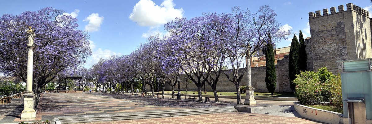 #FelizViernes y #FelizFinDeSemana desde #Jerez

#JerezTeEspera