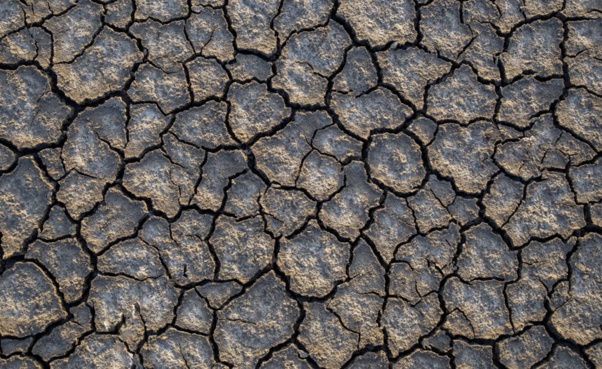 CastlereaghA's tweet photo. MENA will be intensely affected by large movements of people caused by climate change. In his latest piece @YMekelberg asks: What can governments do to help climate-affected areas and adapt to flows of climate migrants/refugees? Can technology play a role? https://t.co/3fq4A6mEMF https://t.co/azWmFoT2Xb