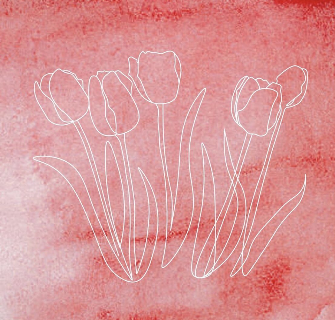 _sanguin1's tweet photo. TULIP OUT NOW ON ALL PLATFORMS 🌷 

MUSIC VIDEO OUT AT 7PM TONIGHT

The final of the trio... 🐝 🌞 🌷 

Written by @Jacknthat_ 
Produced by @AdamBrackles 
Cover art by @edensmithdesign 
Music video filmed and edited by @lukeydbro https://t.co/MZ5oDOxeqJ