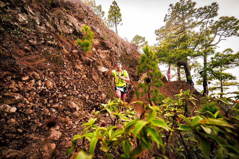 WMRAmountainrun's tweet photo. We have another WMRA associate race to share with you - Reventon Trail El Paso in La Palma

Tenemos otra carrera asociada de WMRA para compartir con ustedes: Reventon Trail El Paso en La Palma

32k/+1340m
October 24

Info 👉 https://t.co/6eb7Xd4Mtn https://t.co/N43wHw9p6E