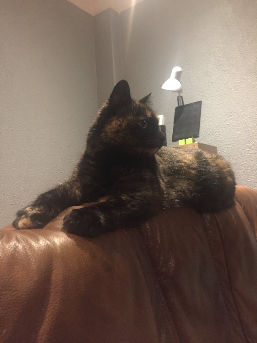 Day 3/7 life in pictures. Rules no people no words. Nominate someone new each day. Thanks to 
<a href="/JackGregan/">Jack Gregan</a> for nominating me -  Today I nominate 
@ConKennedy