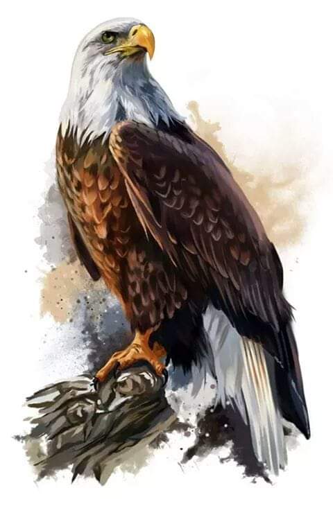 LegionarioExtr's tweet photo. https://t.co/cTwdKZawyp