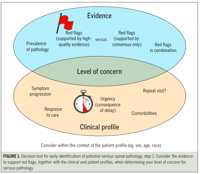Physio Meets Science tweet media