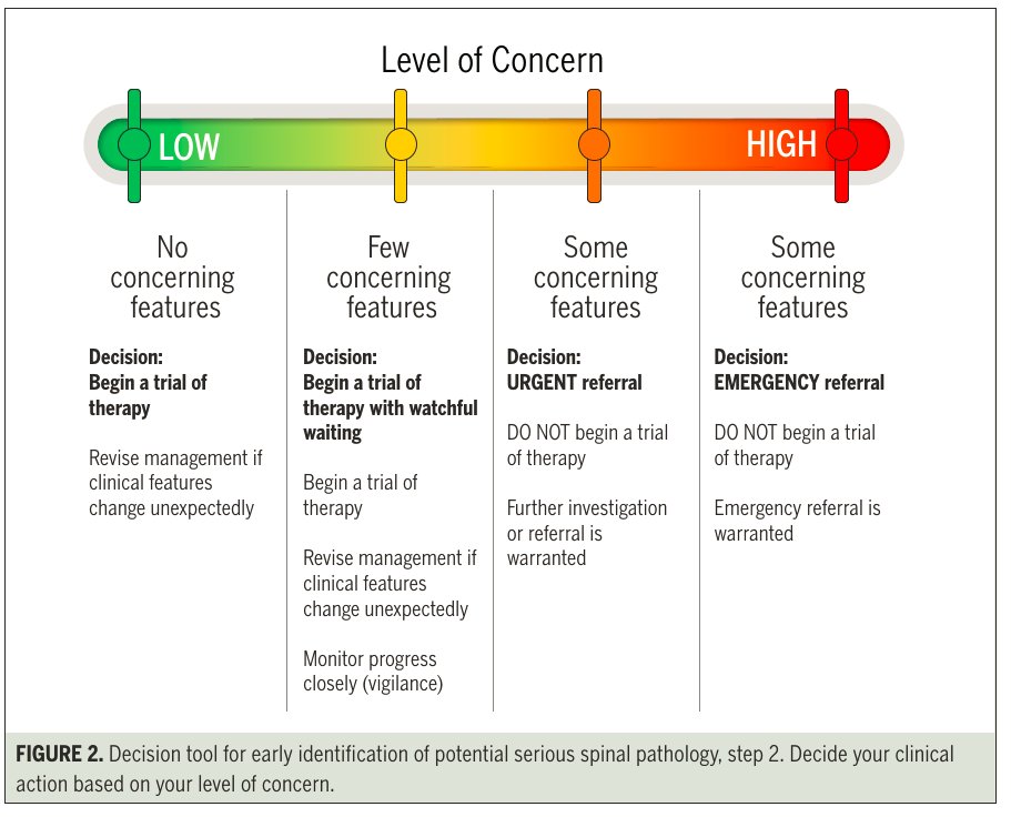 Physio Meets Science tweet media