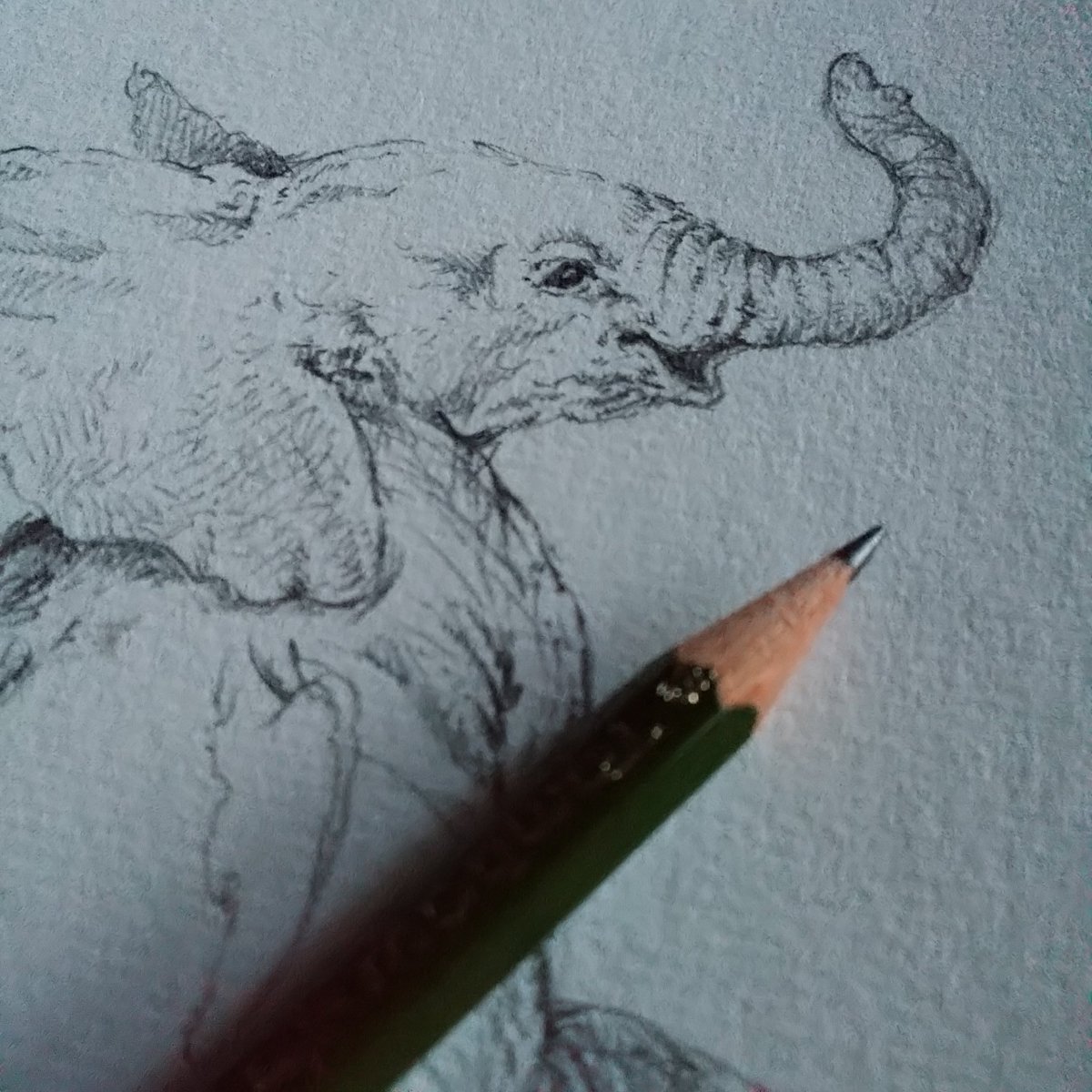 Twitter पर まりあ由実 Postcard Postcard Stackboard 新潟 辛いけど 苦しいけど 描かなきゃ ぞう 象 Elephants 絵 Animal 動物 鉛筆画 えんぴつ やさしさ Twitter पर まりあ由実 Postcard Postcard Stackboard 新潟 辛いけど 苦しいけど 描かなきゃ ぞう 象 Elephants 絵 Animal 動物 鉛筆画 えんぴつ やさしさ