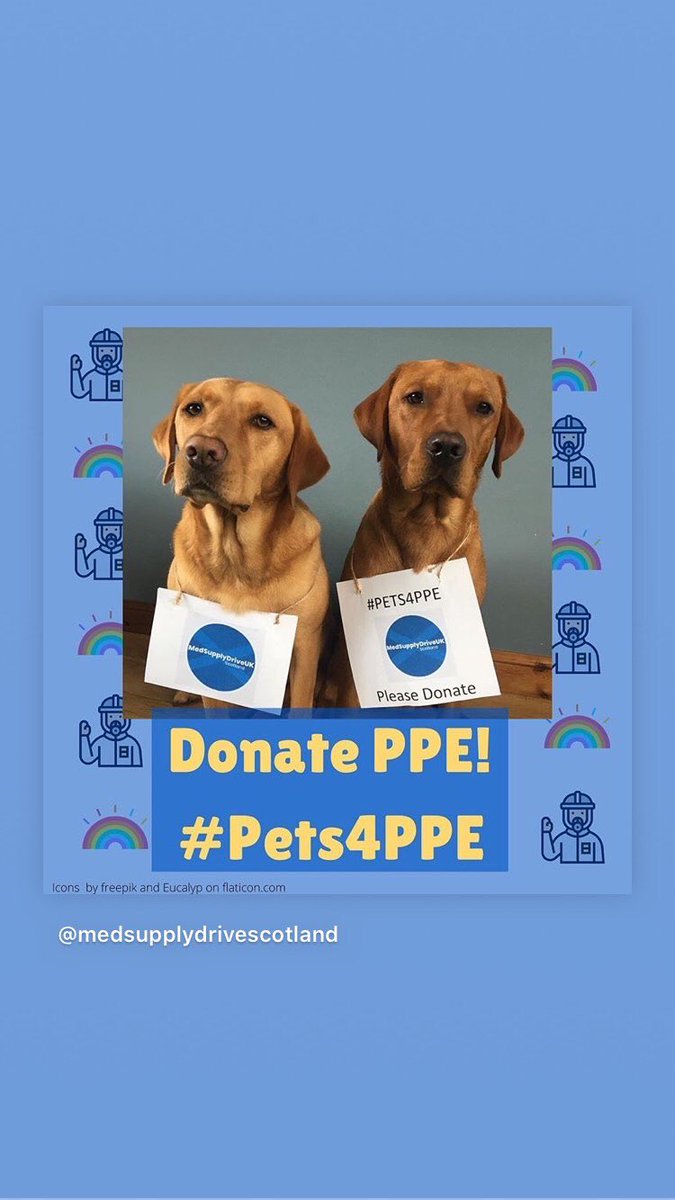 MedSupDriveScot's tweet photo. Has your dog (or cat 🐱) pledged their support yet?
Share your pets sporting our sign with us and get the message out! #Pets4PPE 🌈🐕🐾 #dogsoftwitter #nhsscotland #NHS #catsoftwitter #supportourfrontlineworkers #PPE https://t.co/5ihxknnsvm