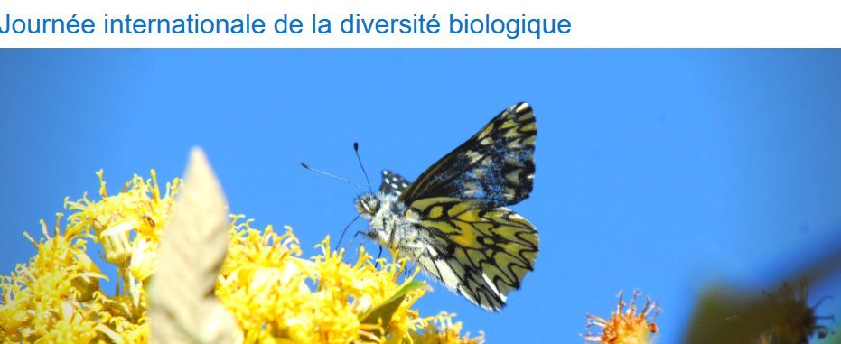 Patrick Geffroy tweet media