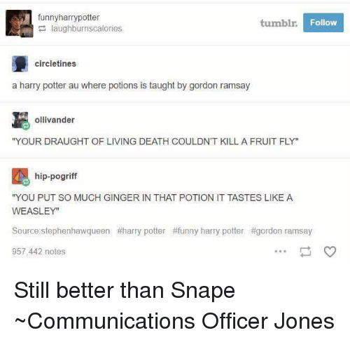 Muggles_Magic's tweet photo. hahah the last comment 

#harrypotter #gordonramsey #snape https://t.co/AXgYpfQGyC