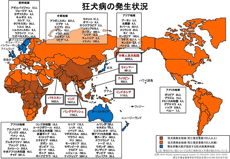 世界にはまだまだ狂犬病がはびこっています。海外ではワンコに気軽に手を出さないようにしましょう。日本は一応清浄国ですが、いつどうなるかわからないから飼育者は引き続きワクチンを。青が清浄国、めっちゃ少ない!
(厚生省サイトより引用2004年の資料です) https://t.co/6SJKhsk1o2 