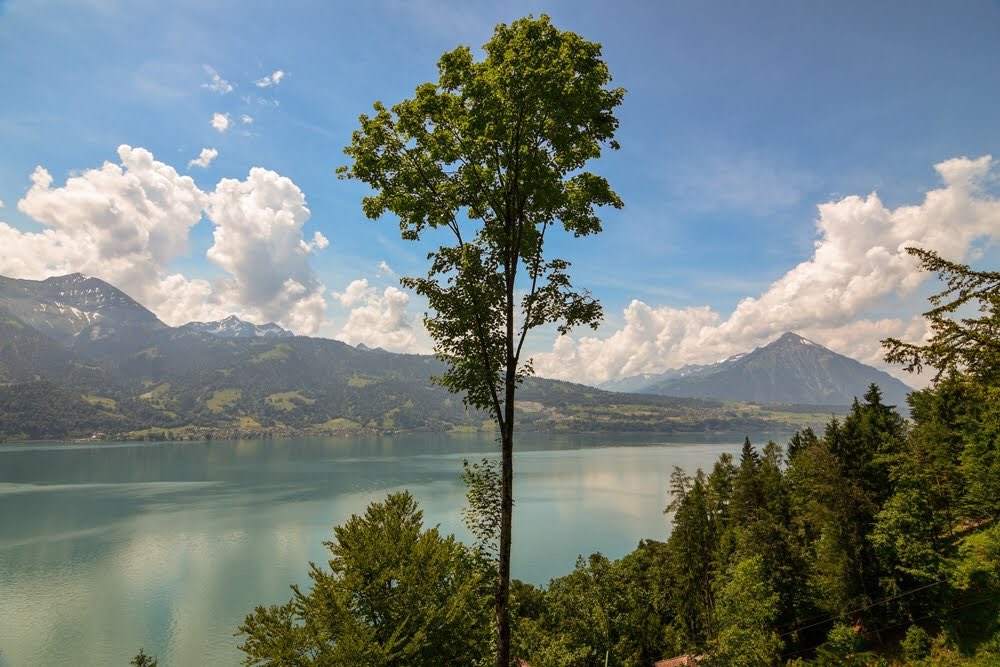 Welcome to #FlashbackFridayz. This weeks calm & reflective theme is #Lakes. Share yours with the hashtag. Tag and retweet hosts @carpediemeire @Adventuringgal @TravelBugsWorld and guest hosts @travelforawhile & @StuckOntheGo. 📷 the glacier fed lakes of Interlaken 🇨🇭