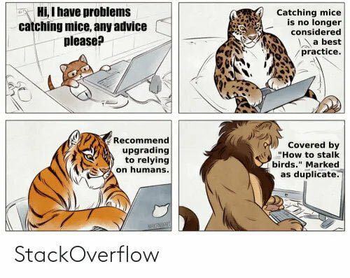 CodeNPaste's tweet image. How do you address this pain ?#programmer, #developer, #softwareengineer #CodeNewbie