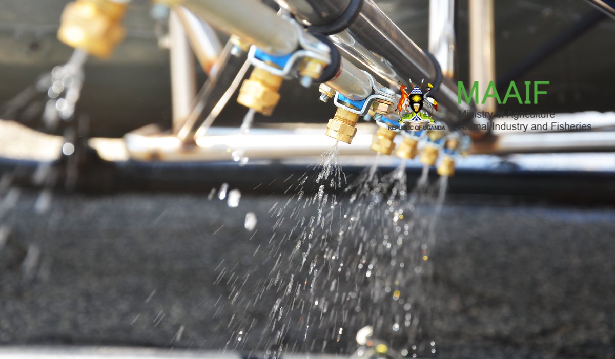 MAAIF_Uganda's tweet photo. Feedback contribution to improving irrigation in Uganda still open: The Ministry of Agriculture, Animal Industry and Fisheries (MAAIF) invites you to provide feedback as part of building the forthcoming Micro-Scale Irrigation Program for #UGAgriculture https://t.co/3Pu7rwoL3n