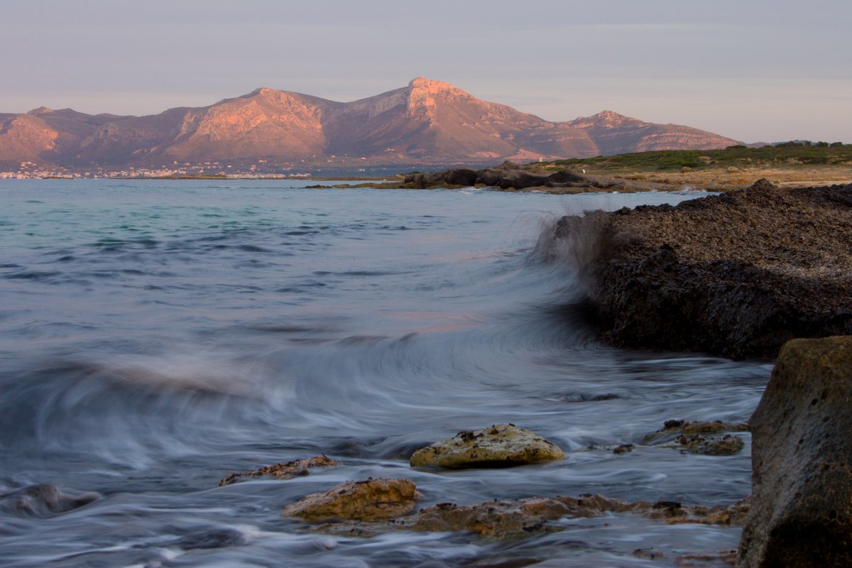 GOBMallorca's tweet photo. 🌍Celebram el #DiaInternacionaldelaBiodiversitat i el #DiaEuropeudelsParcsNaturals, que es celebren avui i diumenge, amb la xerrada "Ampliació i creació de nous parcs naturals a Mallorca:Península de Llevant i Cap de Cala Figuera"!T'esperam a les 17h al nostre Facebook o Youtube! https://t.co/h0OJCfjoDN