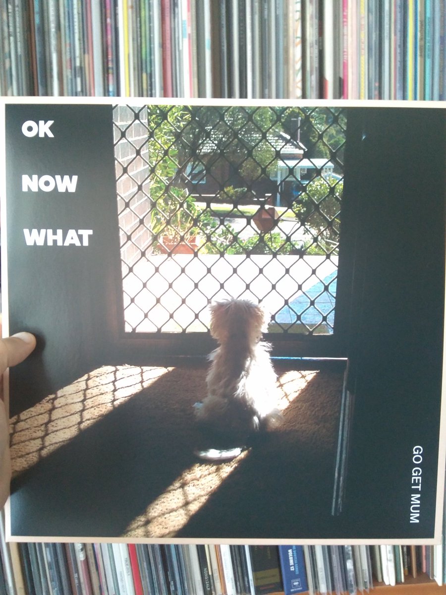 <a href="/gogetmum/">Go Get Mum</a> Ok Now What #vinylcollection