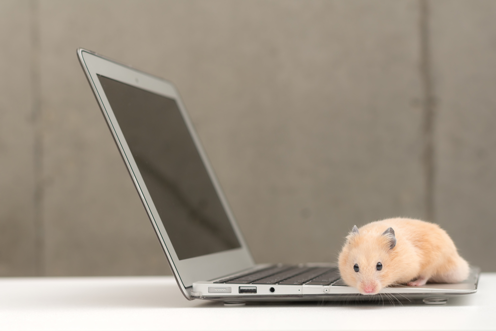 Spamdrain spamfilter tweet media