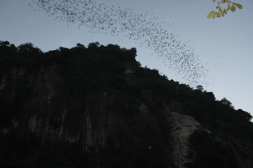 You can also walk or get a motodop (motorbike taxi) up to the top of Phnom Sampeau to see stunning views and a beautiful temple — but also a sobering Khmer Rouge killing cave.At dusk from the bottom of the hill you can watch tens of thousands of bats fly out. It’s incredible.