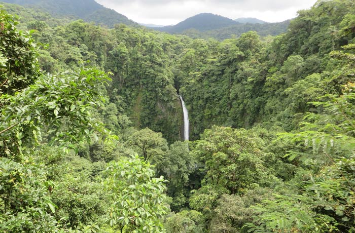 ClaudiacubaG's tweet photo. Esta caída de agua cristalina de 70 metros de altura se encuentra muy cerca del Parque Nacional Volcán Arenal.
Muy cerca de la catarata hay que cruzar un puente colgante de unos 100 metros de longitud.
En el tramo final tendremos que bajar unas 500 escaleras+ https://t.co/pjEPpLdcZA