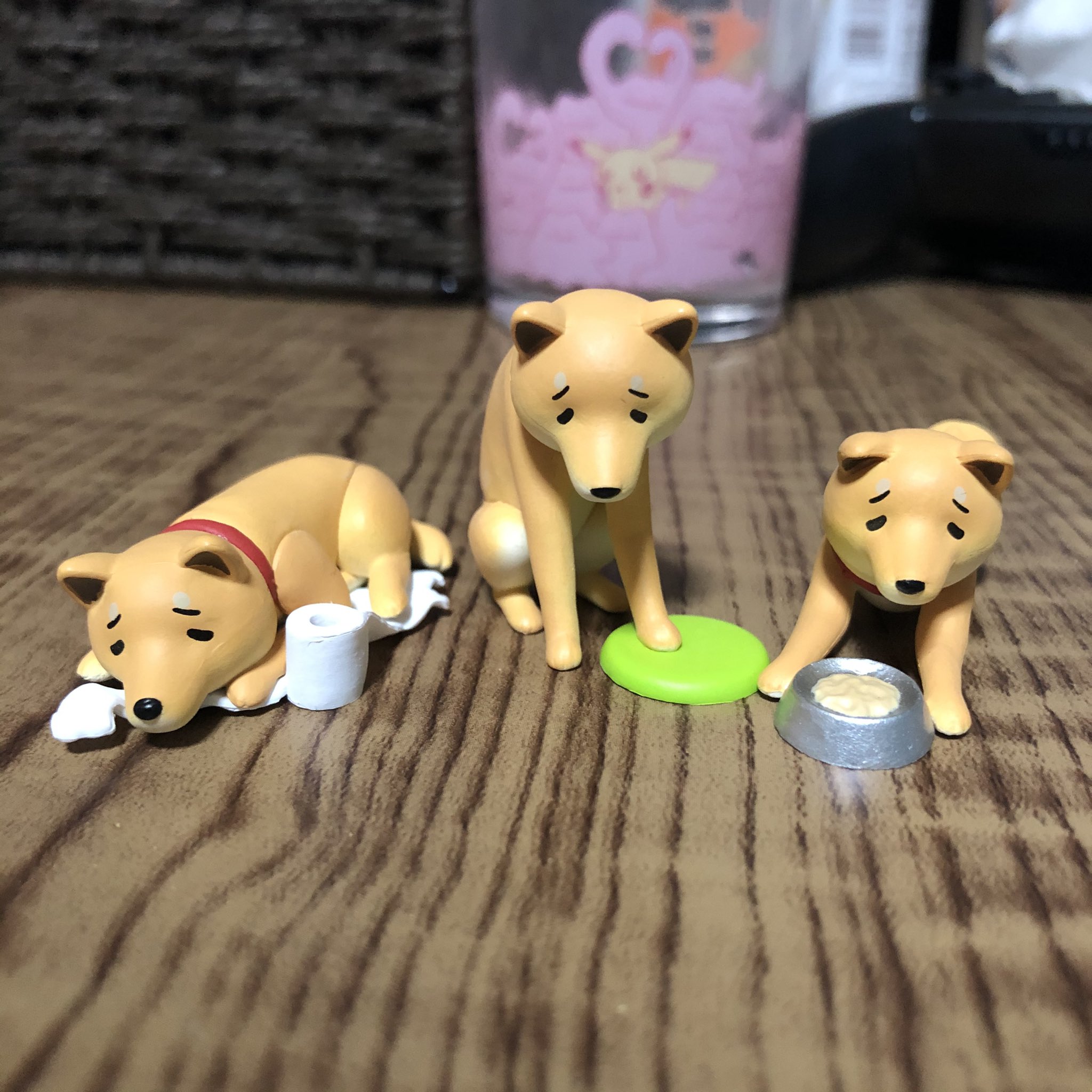 ふる 待って死ぬほど可愛い やっと見つけたションボリーヌガチャ 左から イタズラがバレた犬 フリスビーが取れなかった犬 待てが長い犬 ションボリーヌ T Co Hxlskshtx2 Twitter