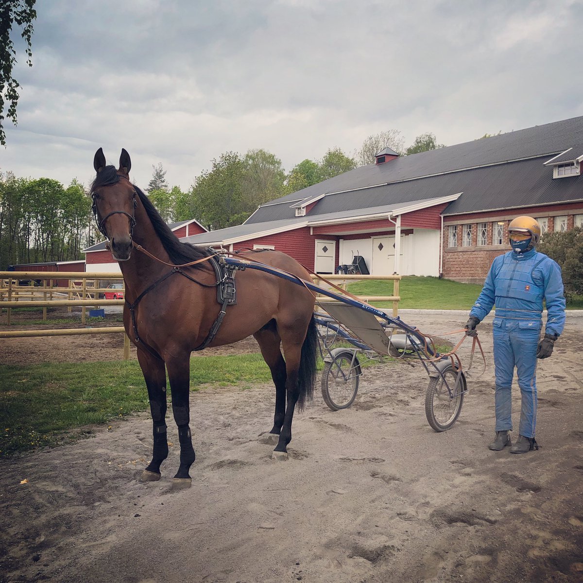 Hvem overlater Atle tømmene til neste gang? #ecurie