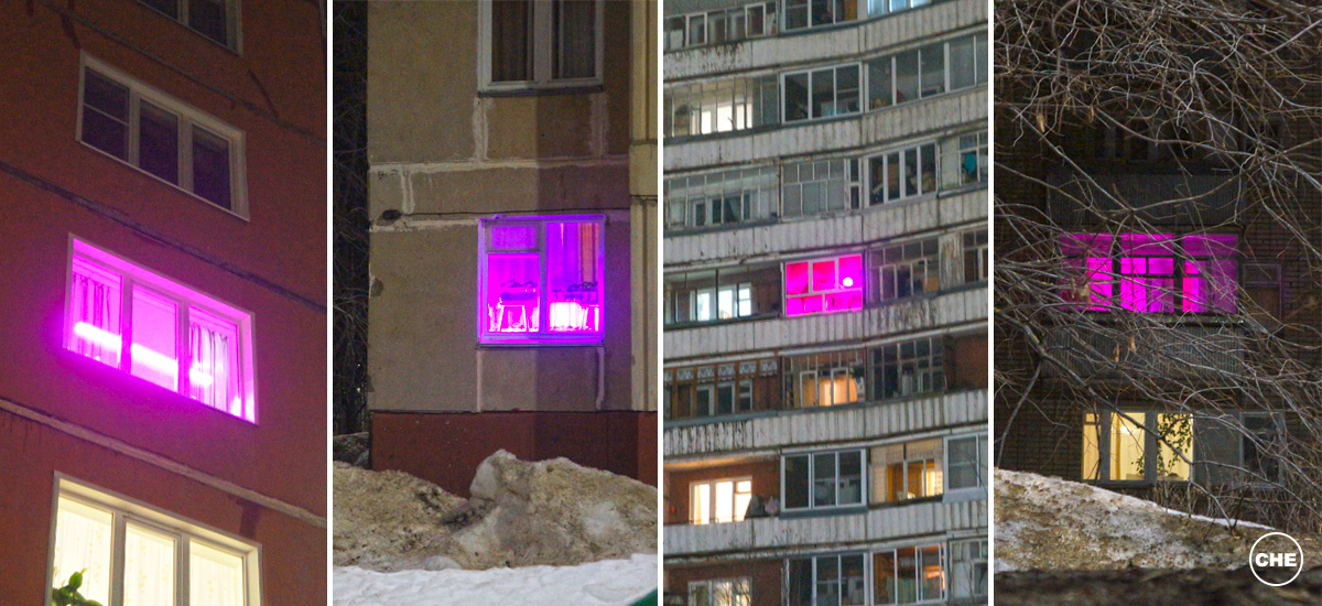 Почему окна некоторых. Светящиеся окна. Розовый свет в окнах жилых домов. Розовые лампы в окнах. Свет в окнах домов.