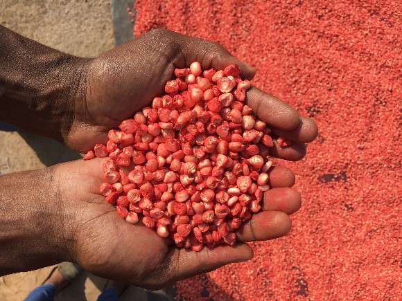 PearlCa_pital's tweet photo. Pearl Capital Partners, through the Yield Uganda Investment Fund, has made a seventh investment of UGX 4.6 Billion in NASECO (1996) Limited.
Follow the link for more details: https://t.co/dVIhhxx3uo
@IFAD @EUinUG @OpenSociety @FCAI_fi @nssfug #YieldFundUg #Impactinvesting https://t.co/we5TBxDSRn