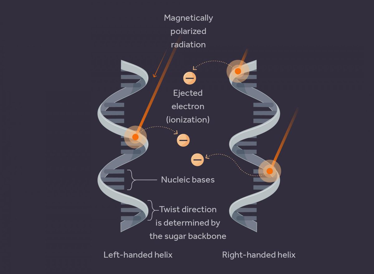 mediainaf's tweet photo. Così i #raggi #cosmici potrebbero aver dato un senso alla vita https://t.co/og6MiIerWa #omochiralità #enantiomeri #RNA #DNA #polarizzazione https://t.co/UmgVI2q2Si